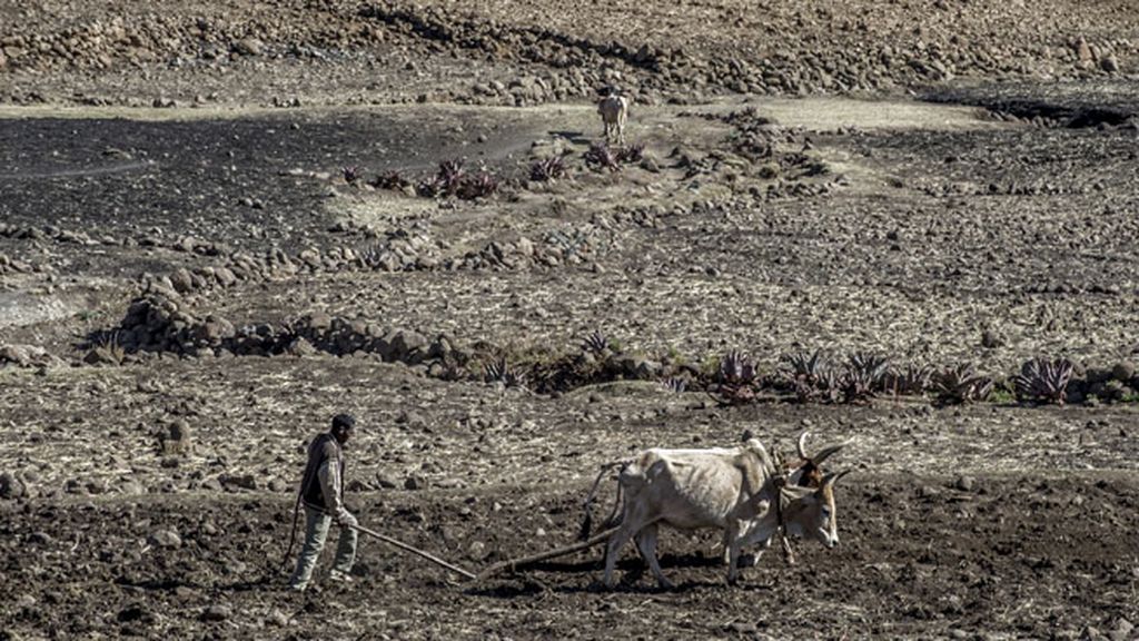Etiopía sufre la peor sequía de los últimos 50 años