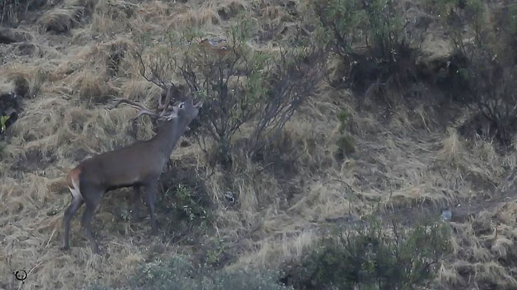 Berrea, frondosos bosques y el Río Tajo: Todo esto en el Parque Nacional de Monfragüe