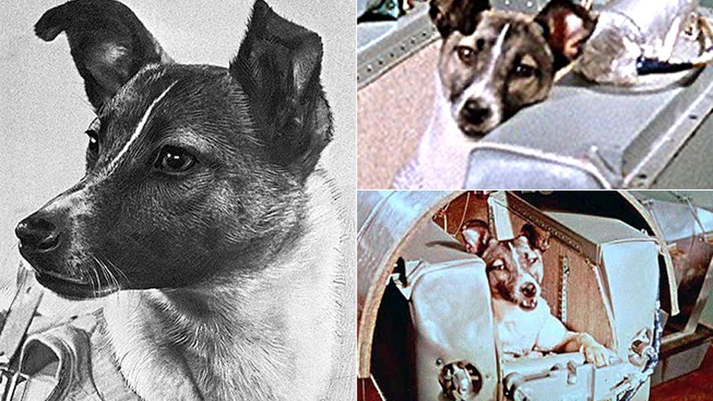 Homenaje a Laika, la primera perra espacial