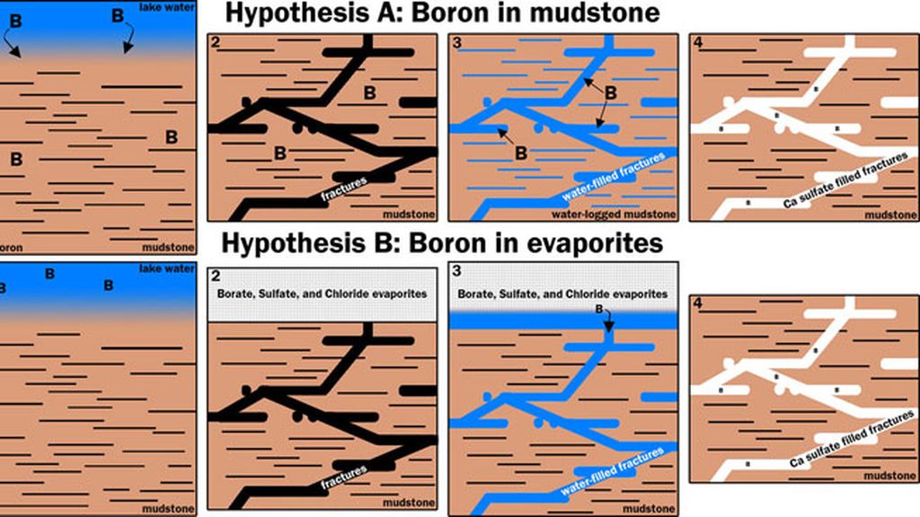 Two Possible Ways Boron Got into Veins on Mount Sharp