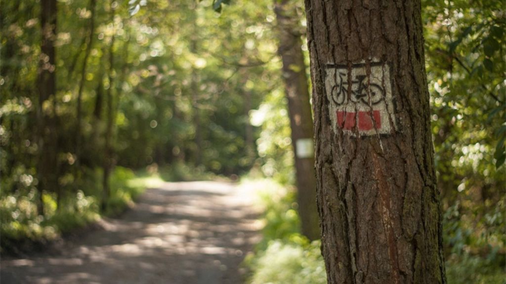 Conoce La Mancha con la Ruta de Don Quijote