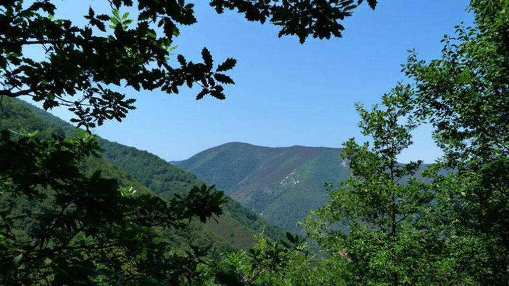 Bosque de Moal de Cangas de Narcea en Asturias