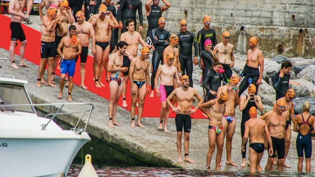 Patos al agua, toca nadar