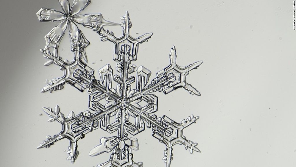 La gran belleza de lo más pequeño: así se ven los copos de nieve en el microscopio