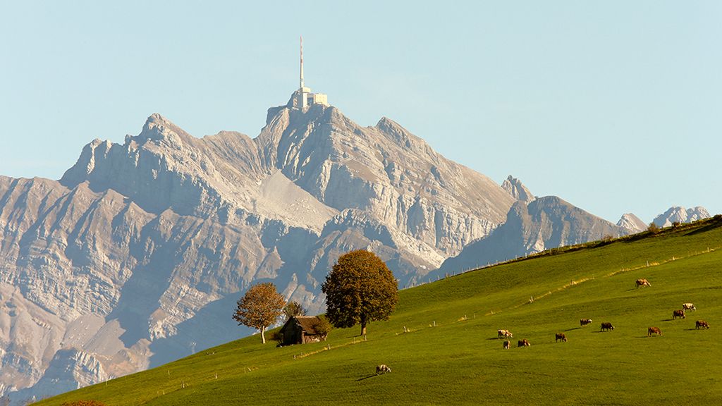 ¡Adiós a la estación de la caída de la hoja!