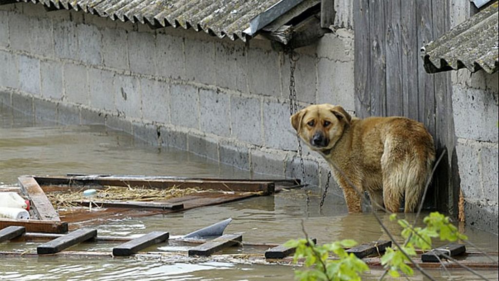 Los ciudadanos no han tardado en compartir imágenes de los destrozos