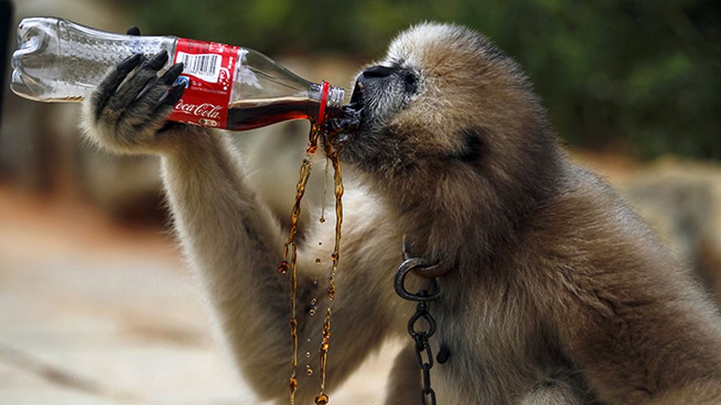 El todo vale contra la ola de calor
