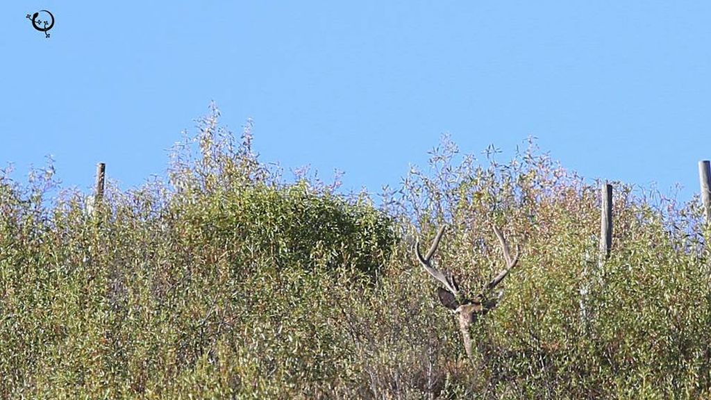 Berrea, frondosos bosques y el Río Tajo: Todo esto en el Parque Nacional de Monfragüe