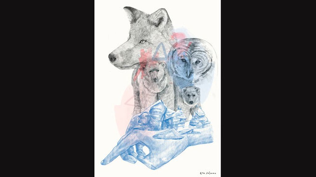 Eva Solano y su ilustración: el futuro del Ártico está en nuestras manos