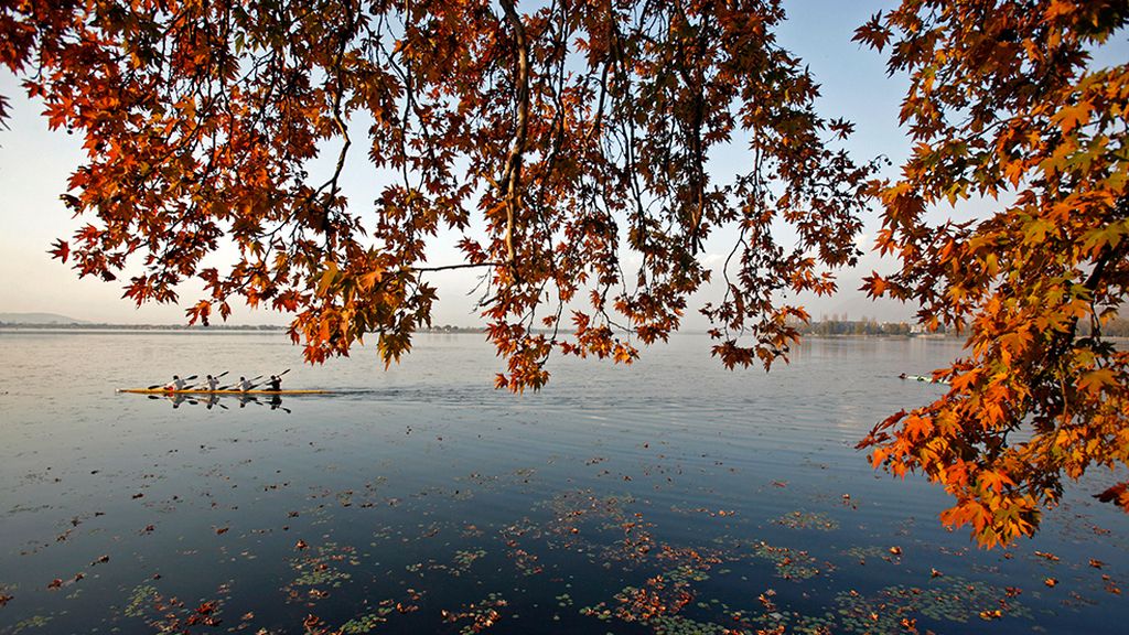 ¡Adiós a la estación de la caída de la hoja!