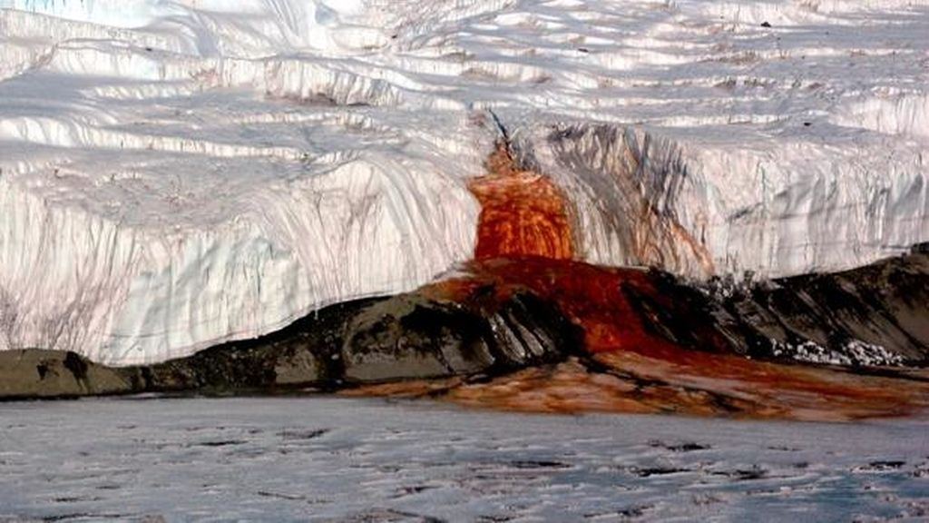 Cascada de sangre