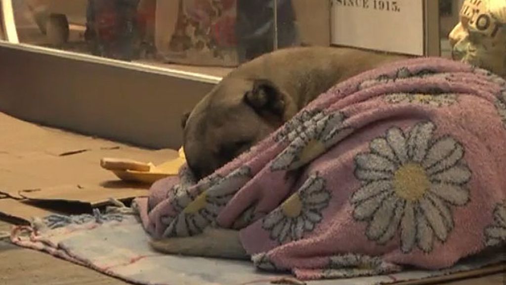 Salvados de las tormentas de nieve que asolan Europa