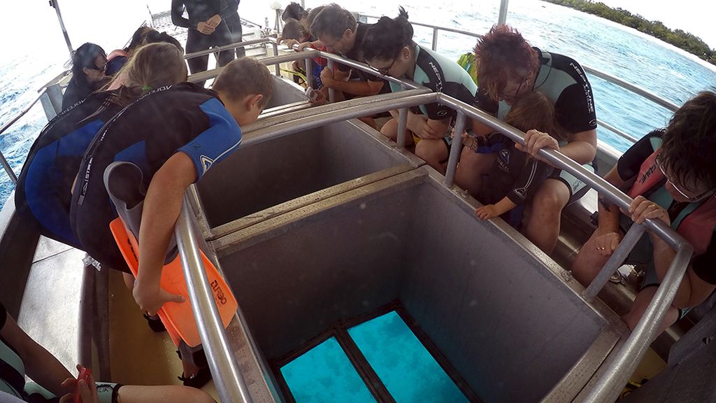 El conjunto de arrecife coralífero más extenso del mundo