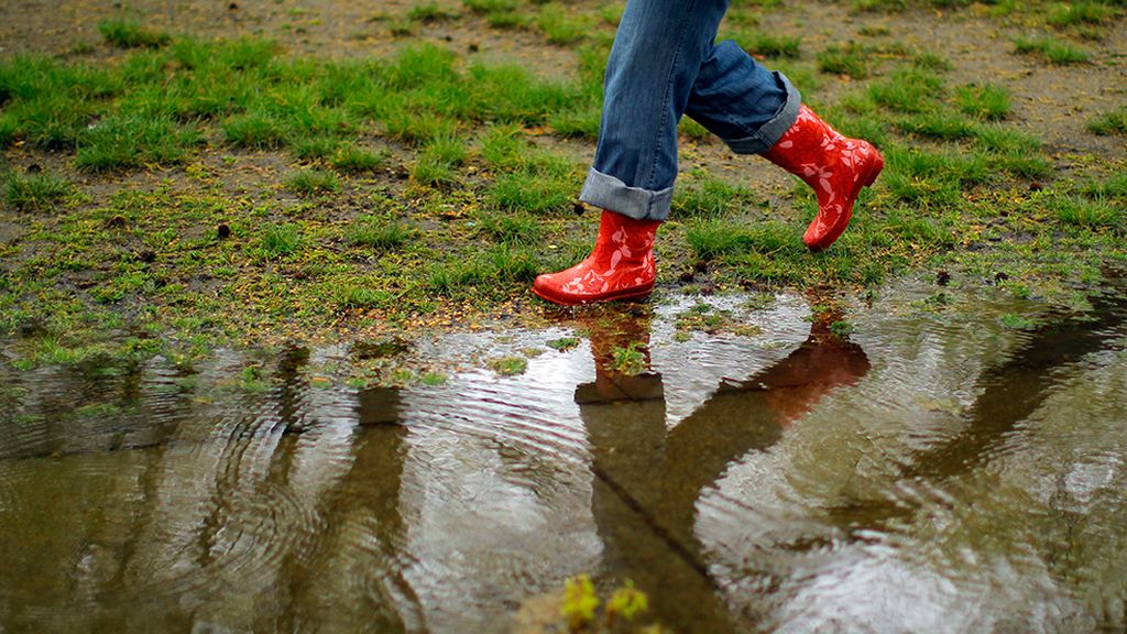 Semana pasada por agua