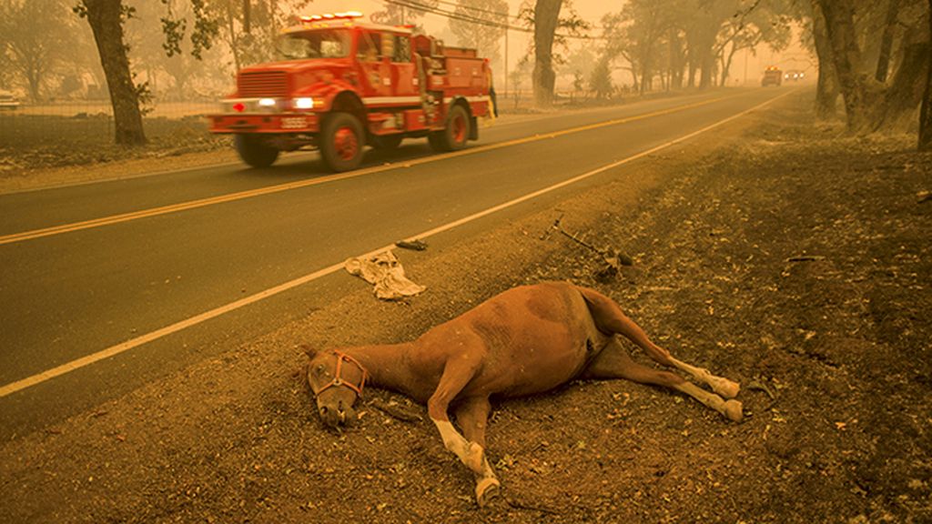 El ‘Incendio del Valle’ devora 200 kilómetros