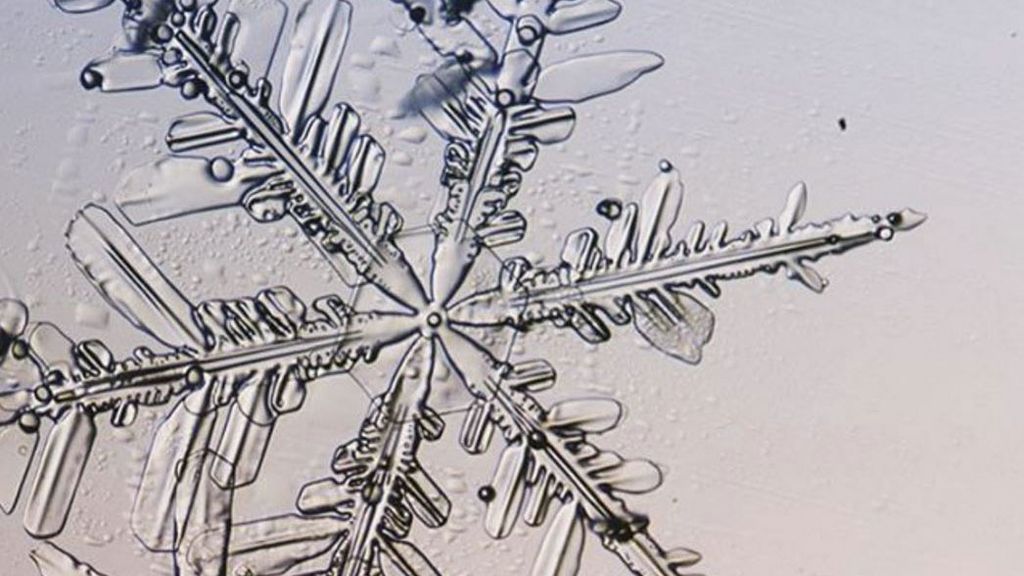 Todos los copos son hexagonales, pero es prácticamente imposible encontrar dos iguales