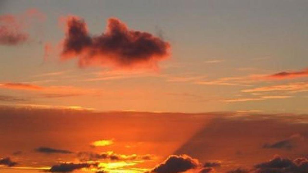 Esta nube de pez hace que el cielo parezca una enorme pecera