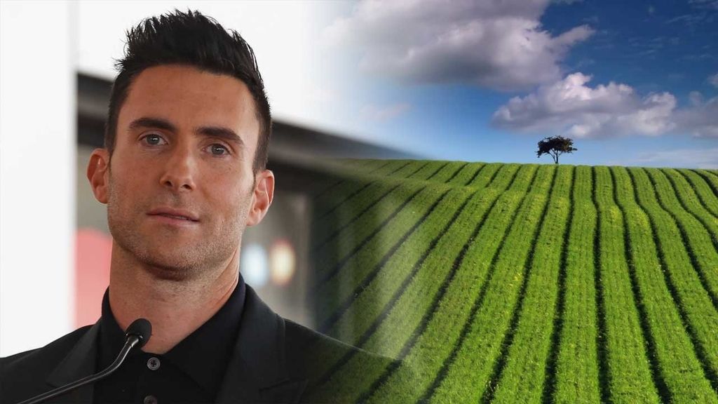 Adam Levine, artista 'verde' y defensor de la sostenibilidad en la música