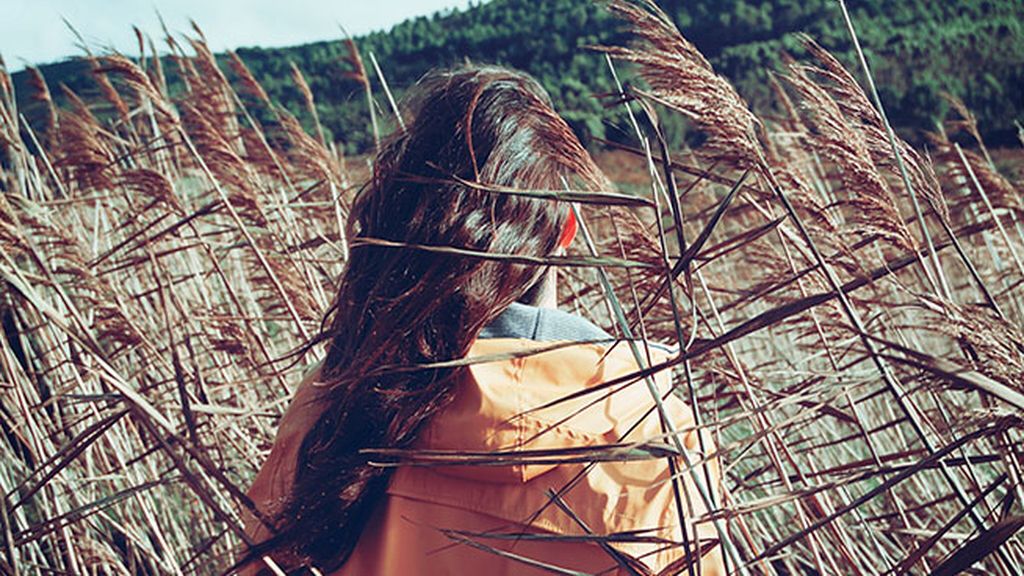 Las palabras se las lleva el viento, las escritas no, ¡todo lo que tienes que saber sobre el viento!