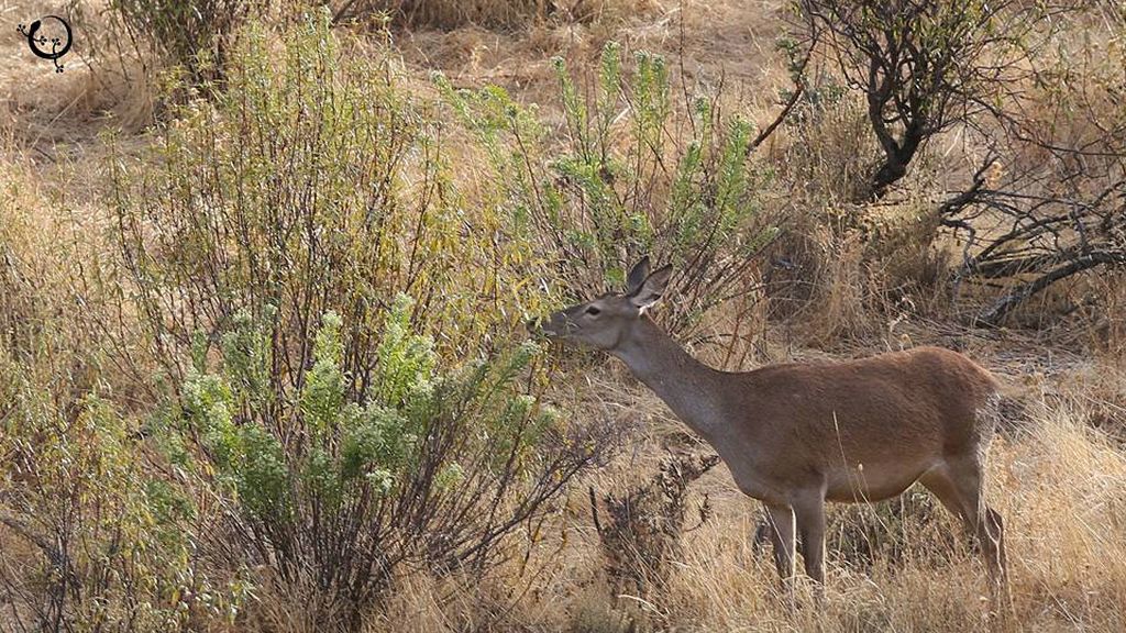 Berrea, frondosos bosques y el Río Tajo: Todo esto en el Parque Nacional de Monfragüe