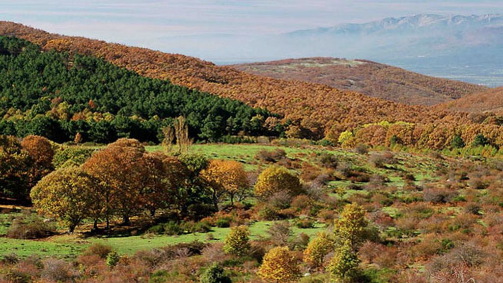 Sierra de San Vicente en Toledo