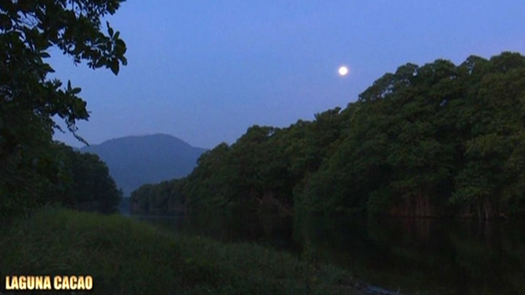 ¿Superarán los supervivientes las dificultades del manglar?