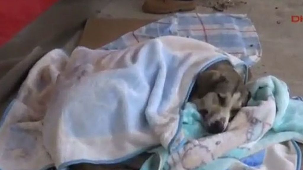 Salvados de las tormentas de nieve que asolan Europa