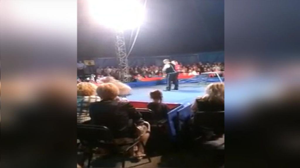 Pánico en el circo: Un oso se abalanza sobre el público al soltarse su cuerda