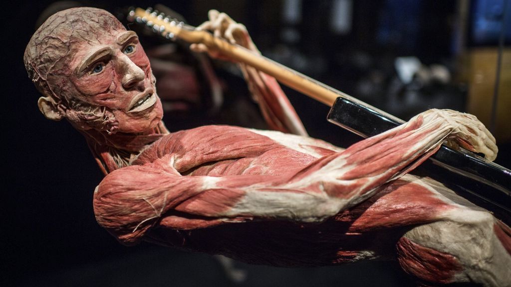 "El guitarrista": fotografía de un cuerpo humano "plastinado"