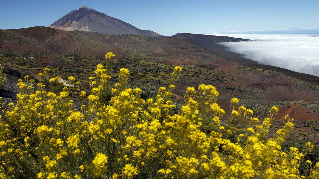 El Parque Nacional del Teide, a examen