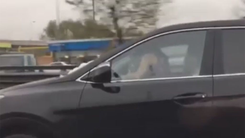 Graban a una pareja teniendo relaciones sexuales mientras circulaban por la autopista