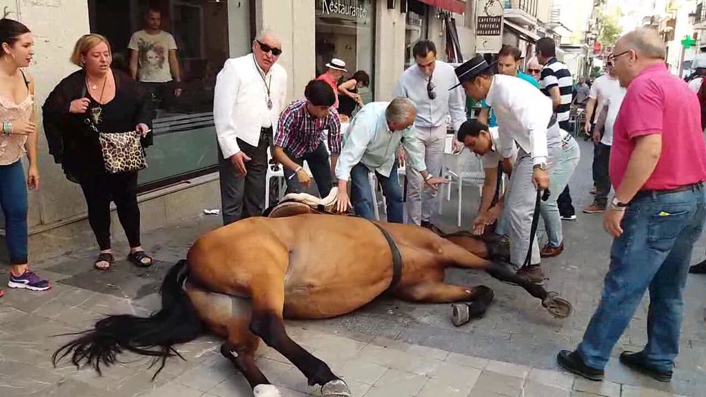 Quique Gran Hermano 16 denuncia el angustioso incidente de un caballo en El Rocío