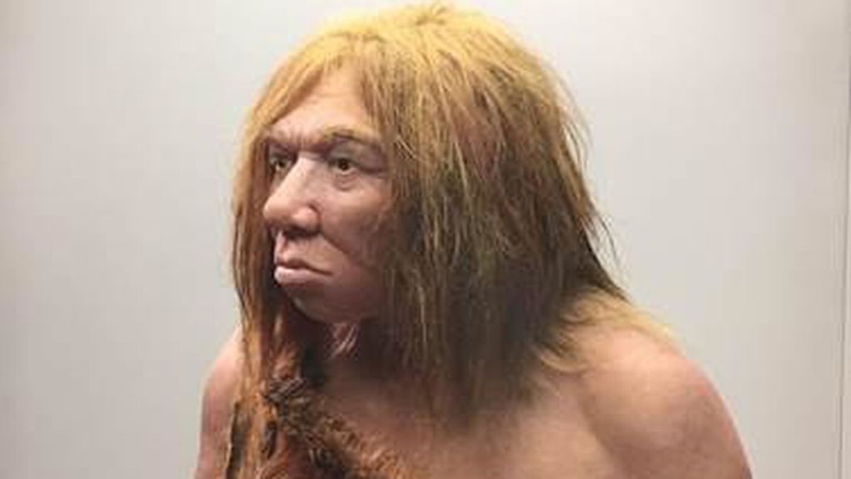 Una investigación revela que los neandertales estaban limitados para los trabajos artesanales a causa de sus manos