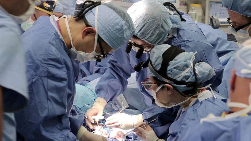 España, a punto de adelantarse 3 años en su objetivo récord de trasplantes