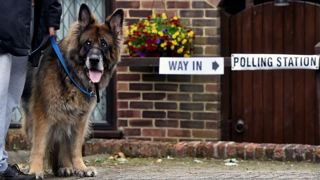 #dogsatpollingstations: los perros también acuden a los centros electorales británicos