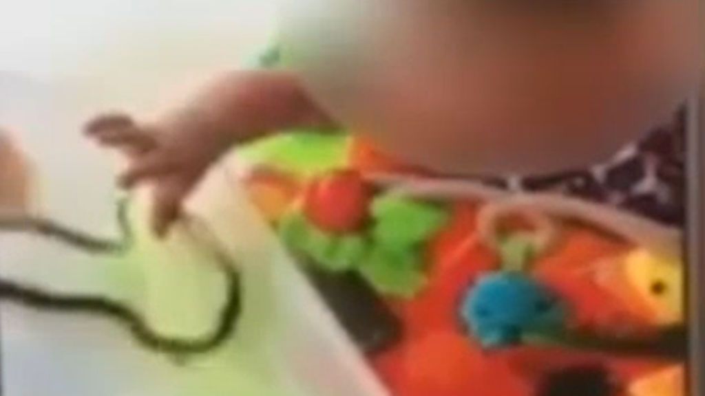 Deja que una serpiente muerda a su hija de un año: "La gente es demasiado sensible"