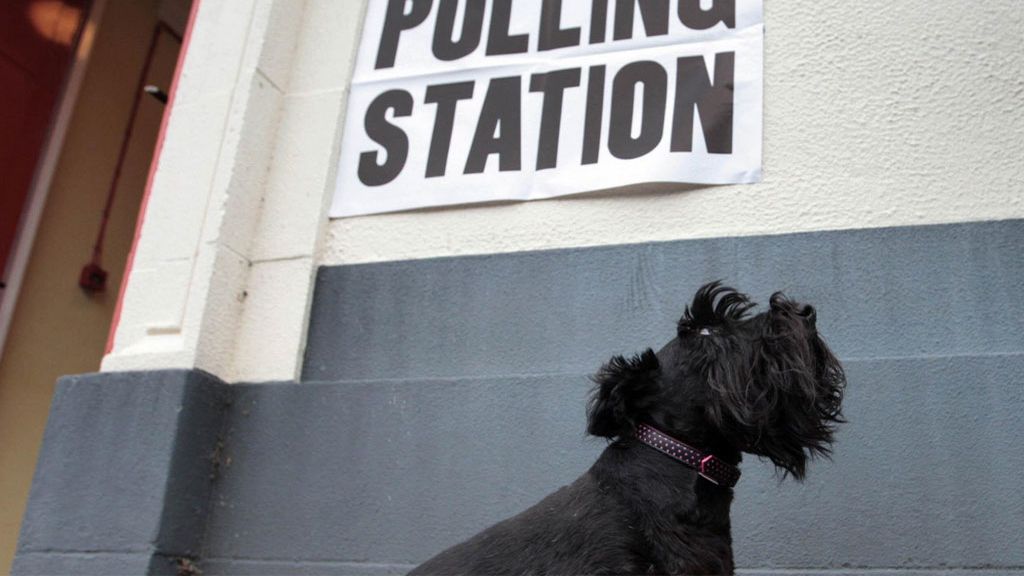 Los perros también acuden a los centros electorales británicos