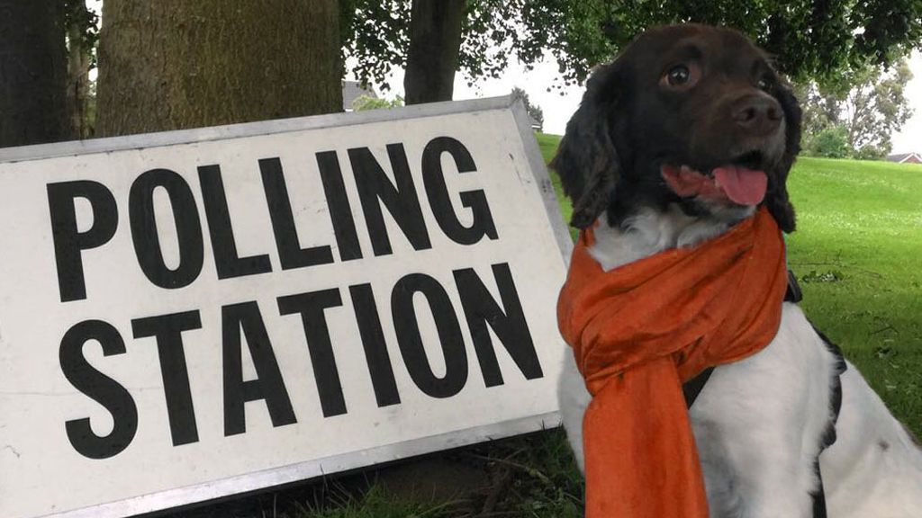 #dogsatpollingstations: los perros también acuden a los centros electorales británicos