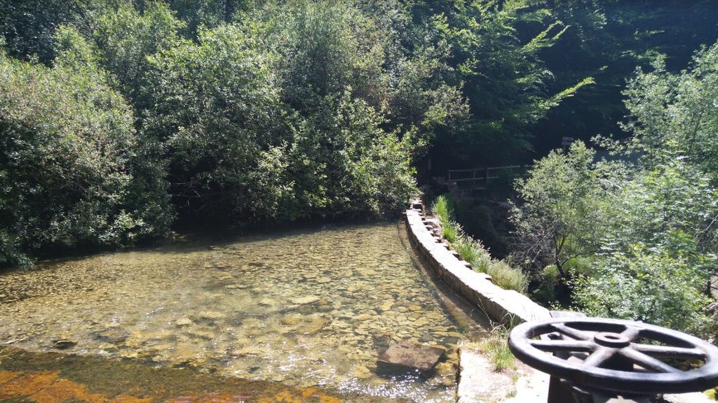 Nacedero del río Zirauntza (Álava)