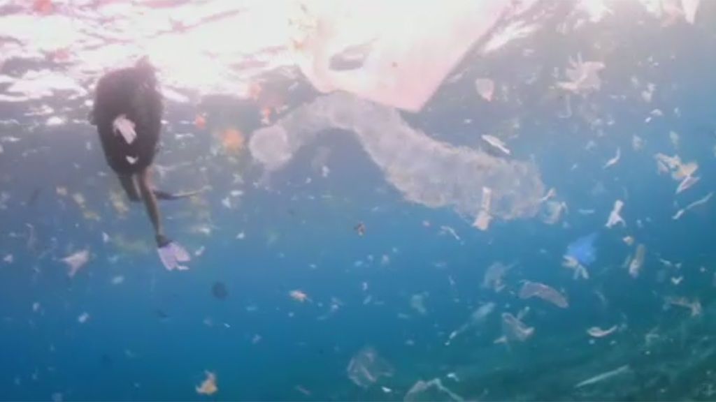 Millones de toneladas de plásticos invaden el paradisíaco mar Caribe