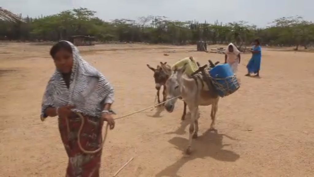 La Guajira Alta, el desierto del hambre