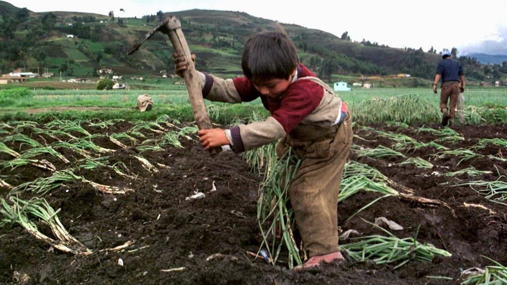 168 millones de niños, víctimas del trabajo infantil en 