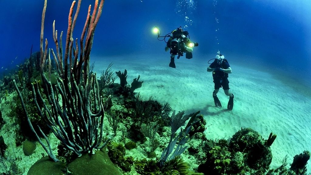 Bucea en Cabo de Gata en Almería