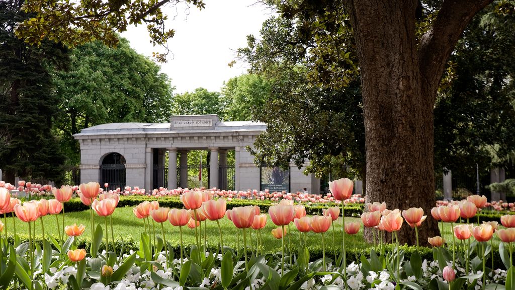 Disfruta de las Noches del Botánico en Madrid
