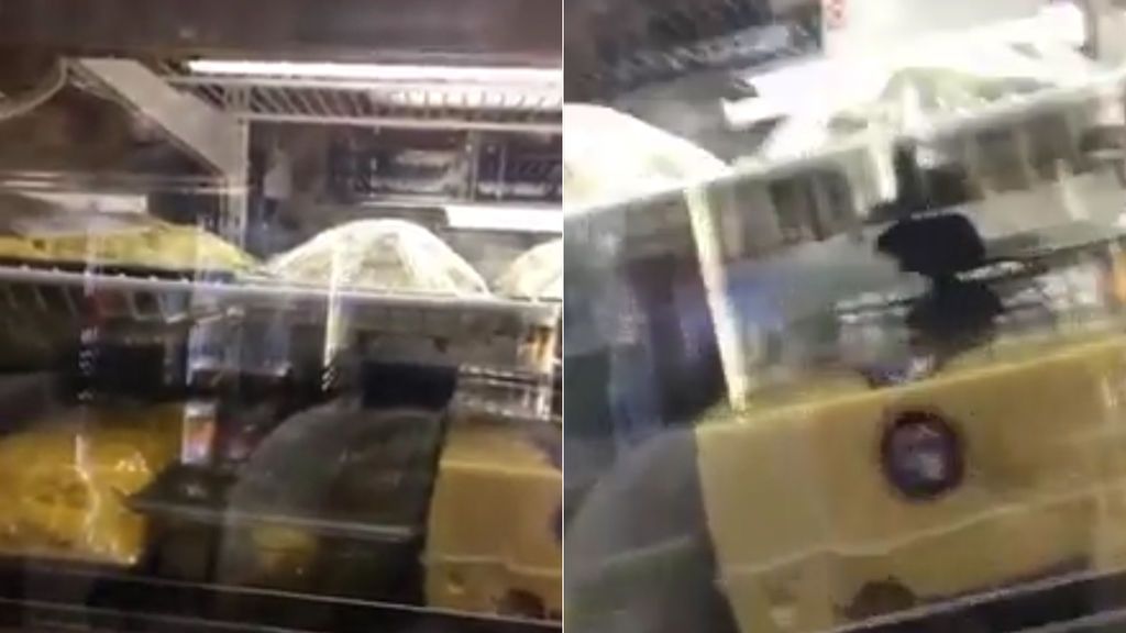 Denuncian que una rata enorme merodeaba entre la comida que les acababan de servir