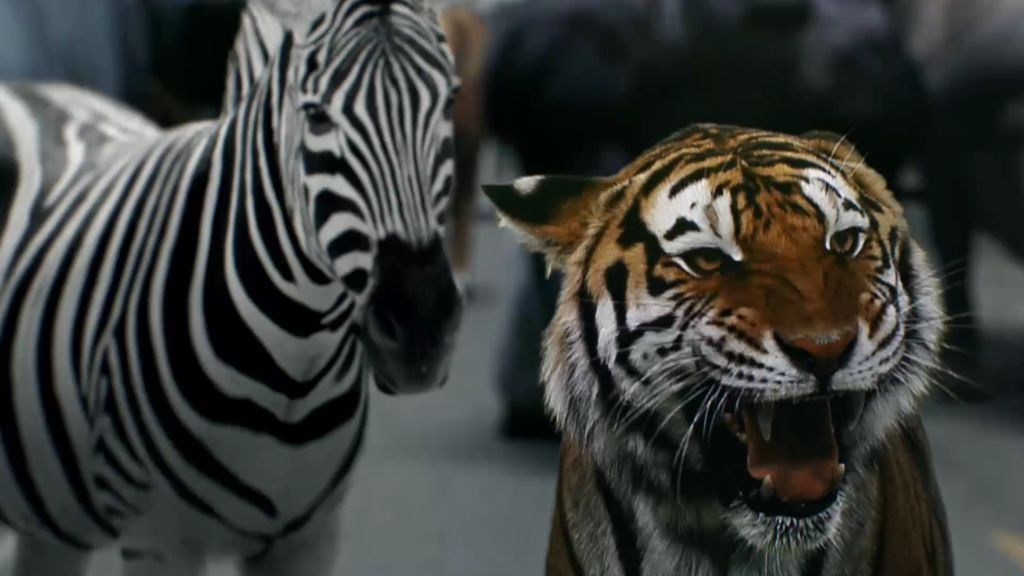 zoo