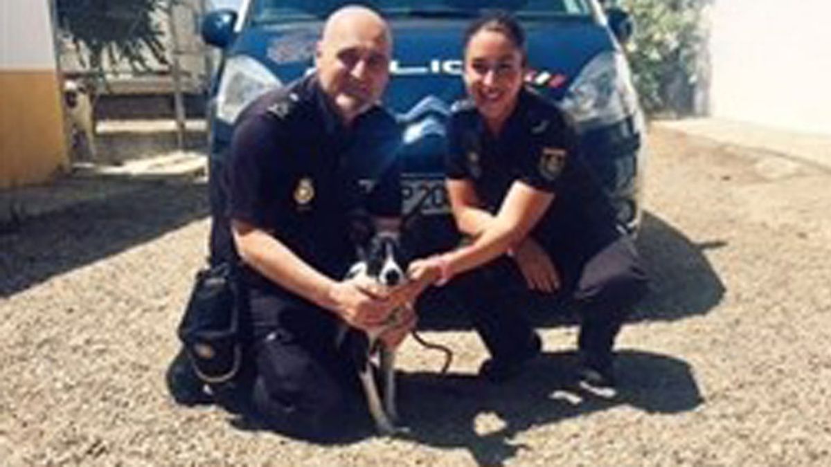 Policía Nacional rescata perro