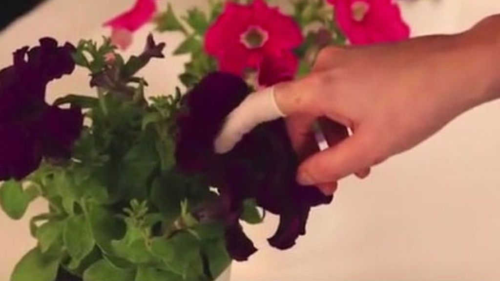 La Naturaleza no es tu madre, es tu amante