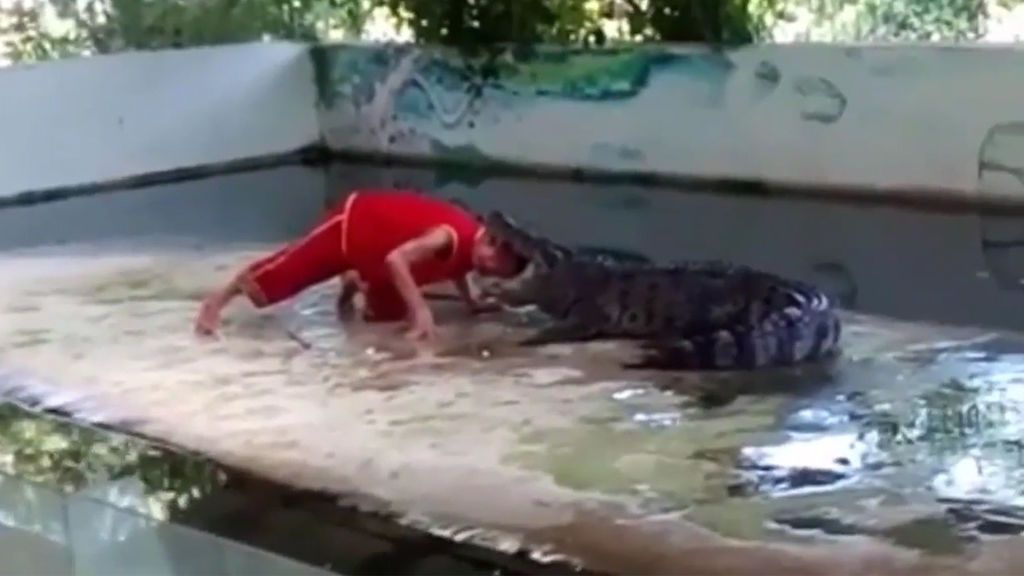 Así termina la exhibición de un cocodrilo en un zoo de Tailandia