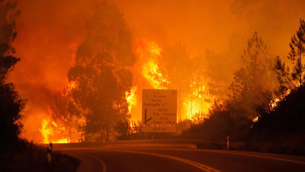 Decenas de personas mueren en uno de los mayores incendios forestales de la década en Portugal